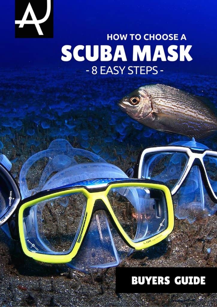 How To Choose A Scuba Regulator The Right Way 7 Steps