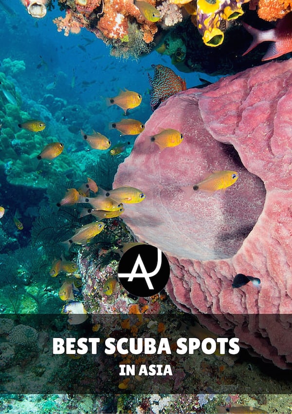 The Best Scuba Diving in the Caribbean Top 10 Spots