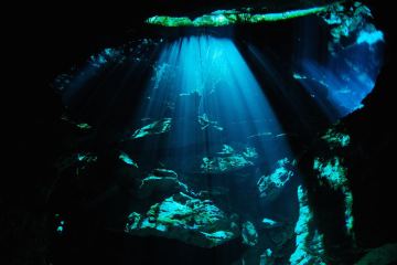 Scuba Diving Cenotes Yucatan Mexico