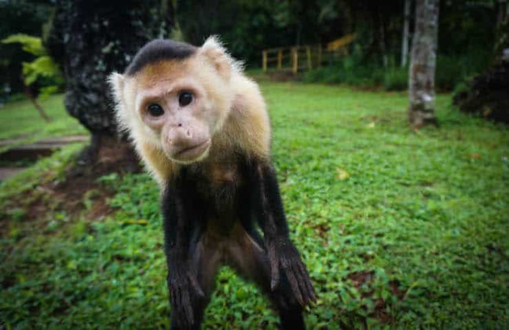 Coiba Island Panama6 Reasons Why Coiba is the Most Up-and-coming Adventure Travel Destination in Central America