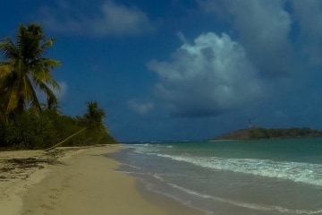 Hiking The Trace des Caps (Martinique)