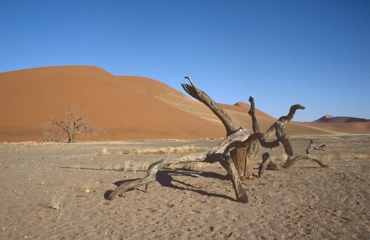 Namibia dessert