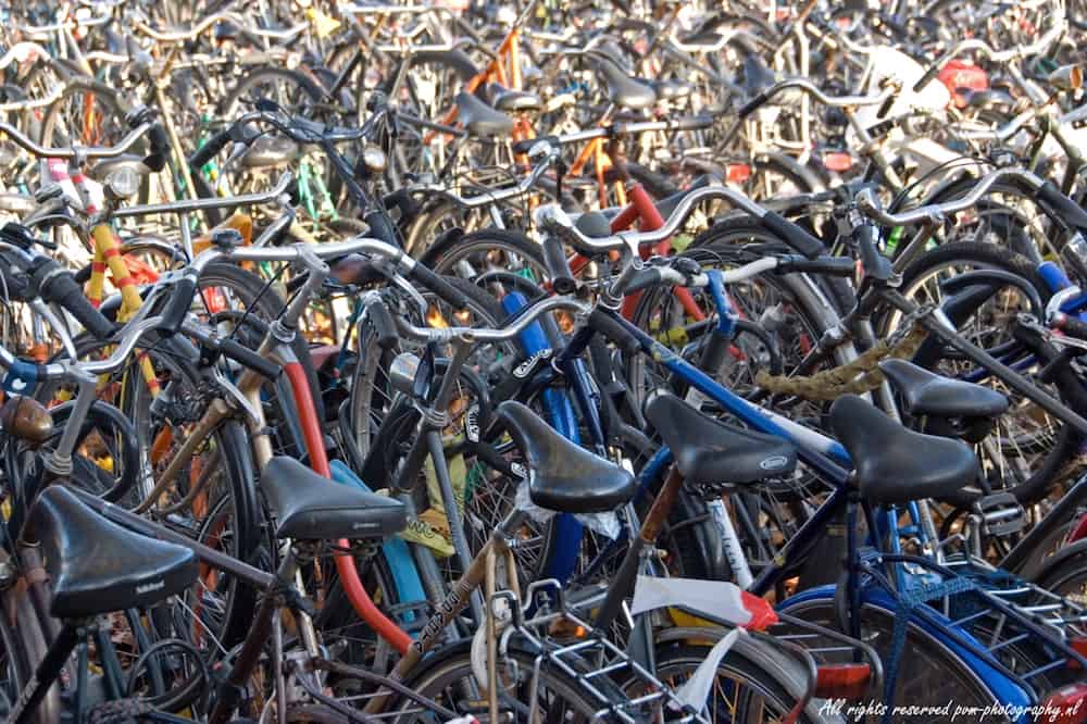 Many bicycles