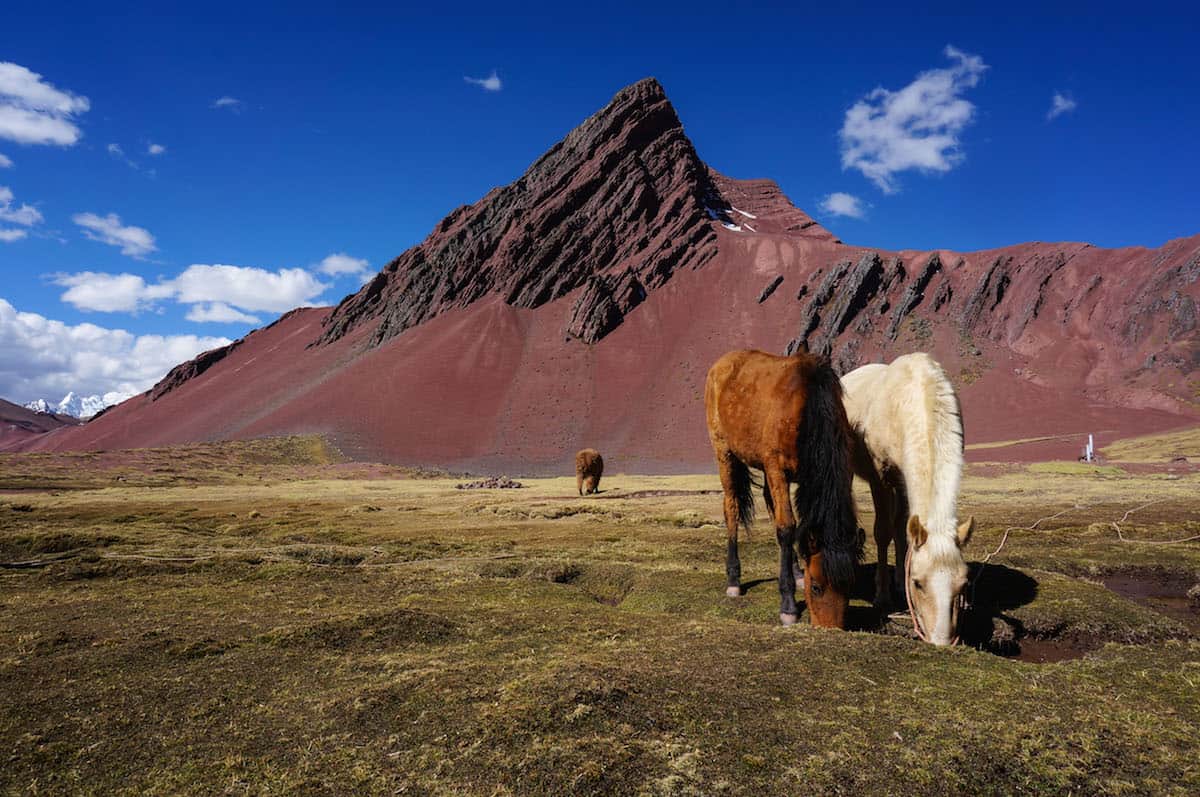 lodge horses in Ausangate
