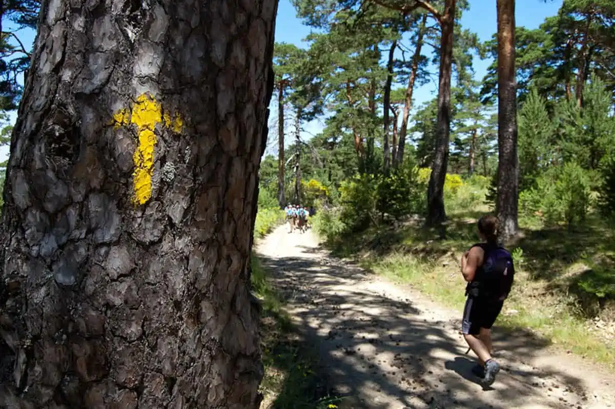 Camino de Santiago - Spain