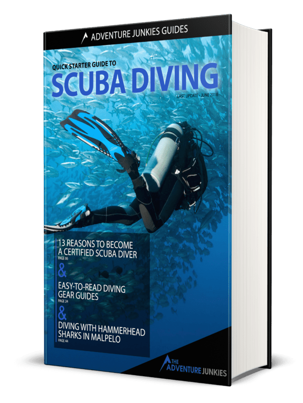 quick starter guide to diving quick starter guide to diving