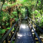 Abel Tasman Coastal Track, New Zealand