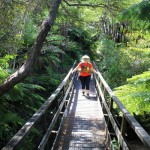 Abel Tasman Coastal Track, New Zealand