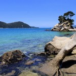 Abel Tasman Coastal Track, New Zealand