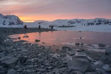 Best Antarctica Books