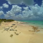 Hiking on the Beach the West Coast of Barbuda