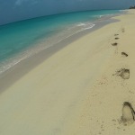 Hiking on the Beach the West Coast of Barbuda