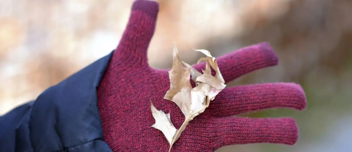 best hiking gloves