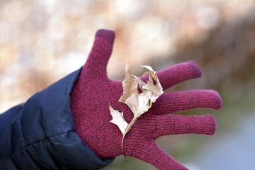 Best hiking gloves