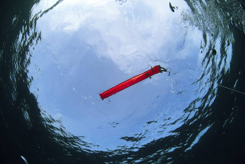 Top 8 Best Air Integrated Dive Computers of 2022 • The Adventure Junkies