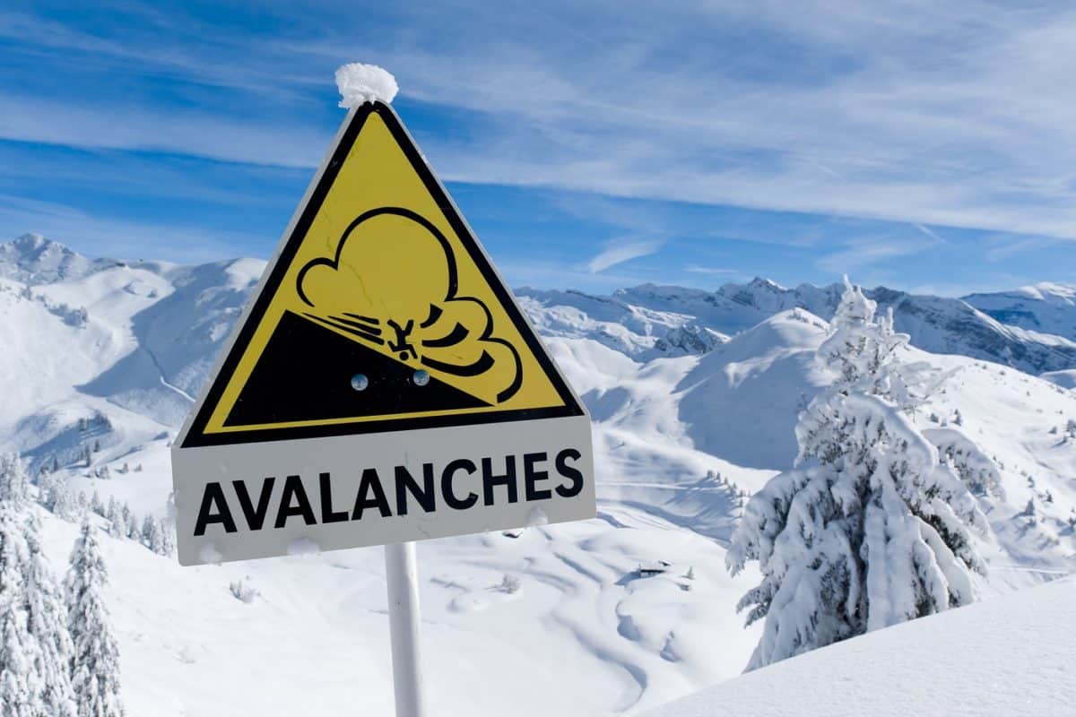 Top 5 Best Avalanche Beacons of 2024 • The Adventure Junkies