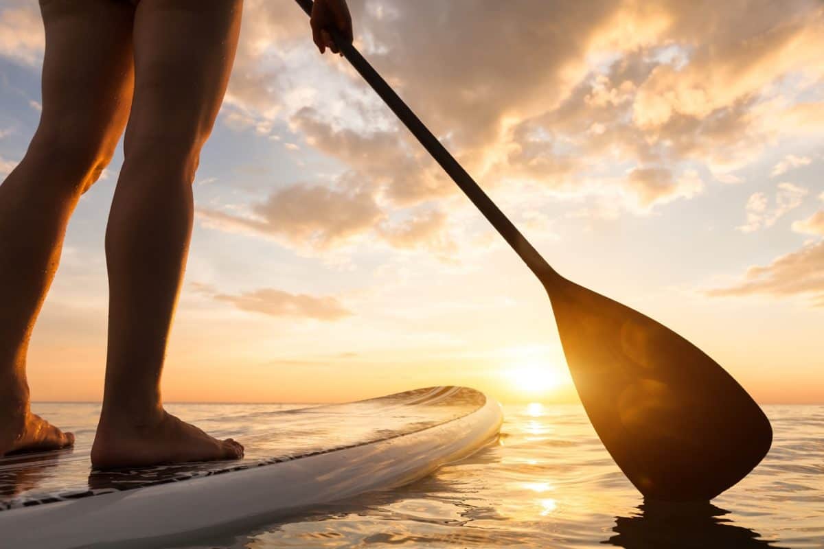 Top 7 Best SUP Paddles of 2024 • The Adventure Junkies