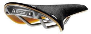 Brooks Cambium C17
