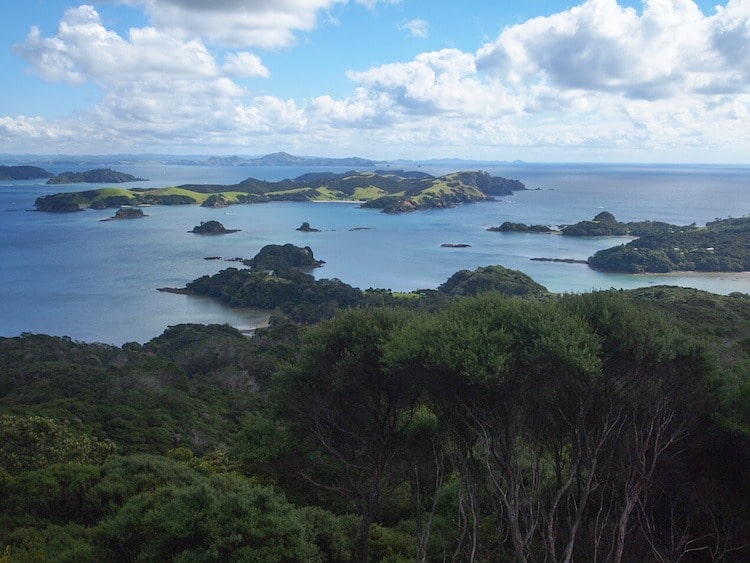 The Best Overnight Hike in Northland: Cape Brett, New Zealand