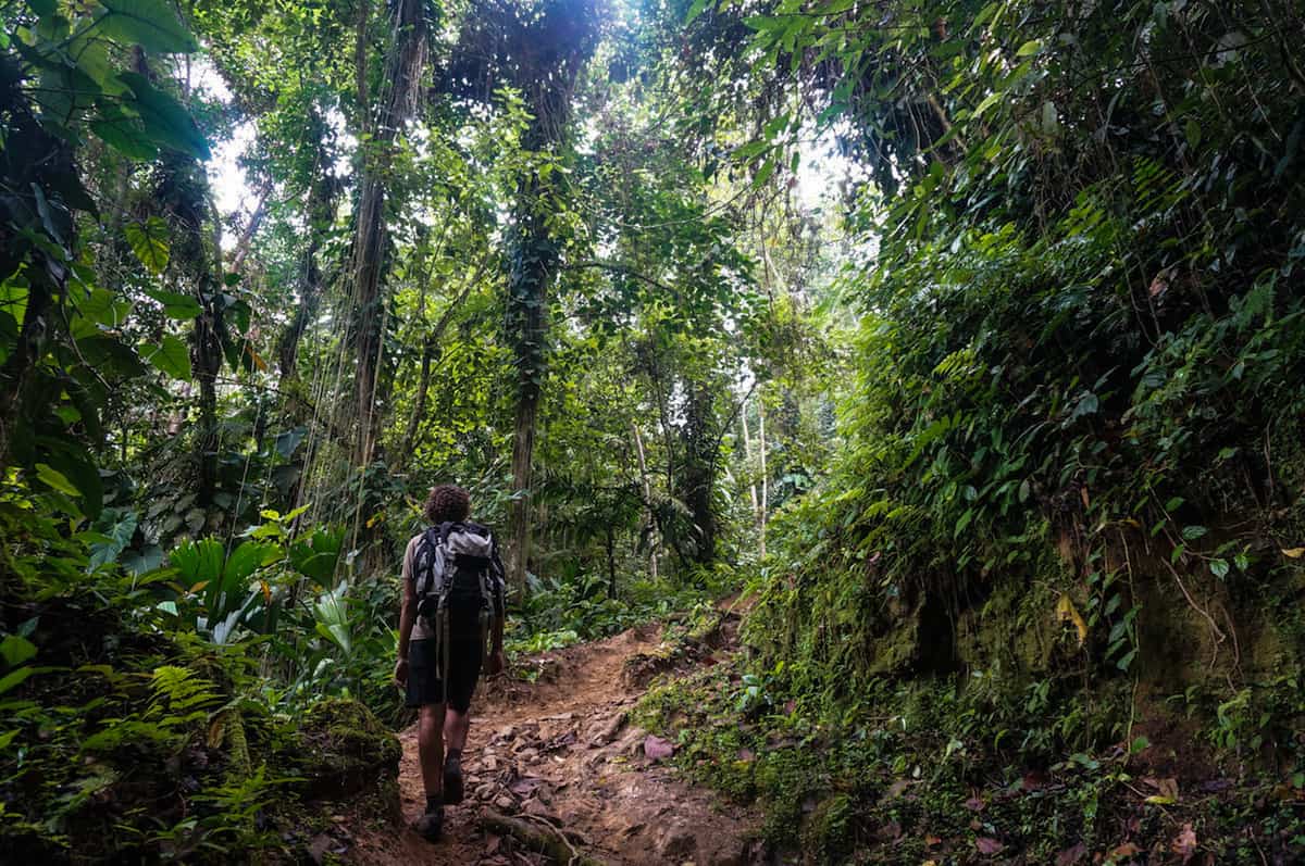 Lost City Trek - Colombia