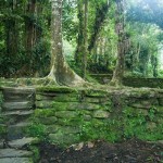 Ciudad Perdida Trek