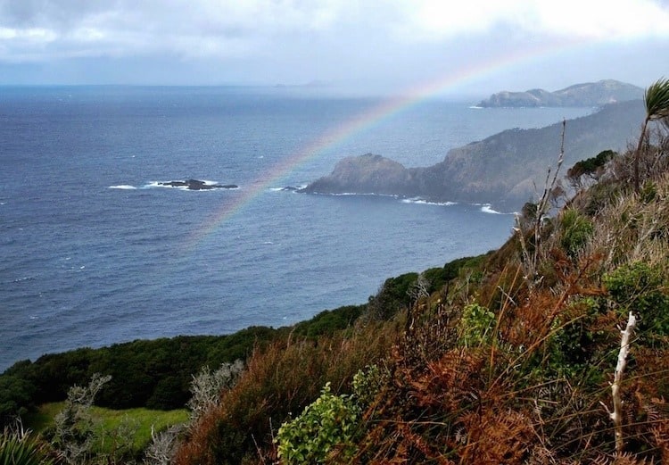 The Best Overnight Hike in Northland: Cape Brett, New Zealand