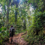 Ciudad Perdida Trek