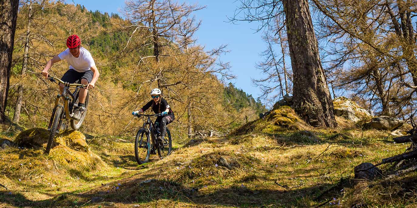 Best Mountain Bikes for Beginners of 2025 • The Adventure Junkies
