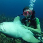 Scuba Diving in Ambergris Caye (Belize)