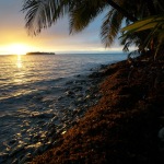 Scuba Diving and Kayaking in Glovers Reef (Belize)