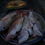 Scuba Diving and Kayaking in Glovers Reef (Belize)