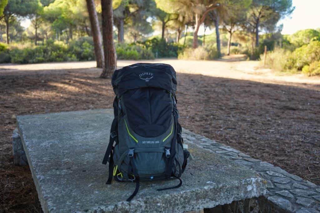 Best Hiking Backpacks of 2022 COMPLETE List