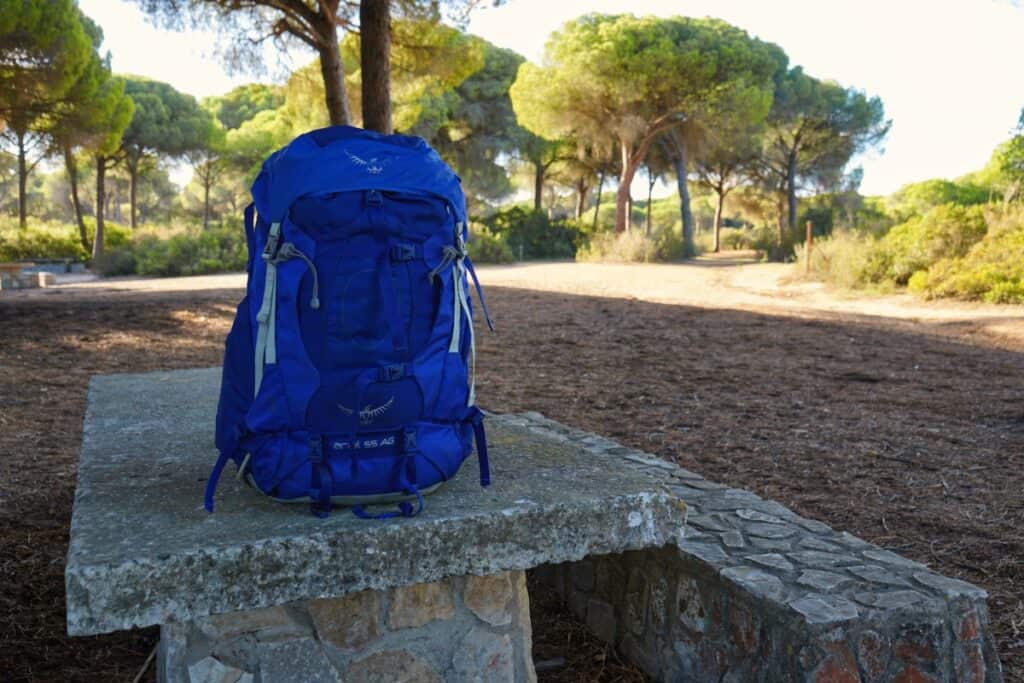 Best Hiking Backpacks of 2022 COMPLETE List