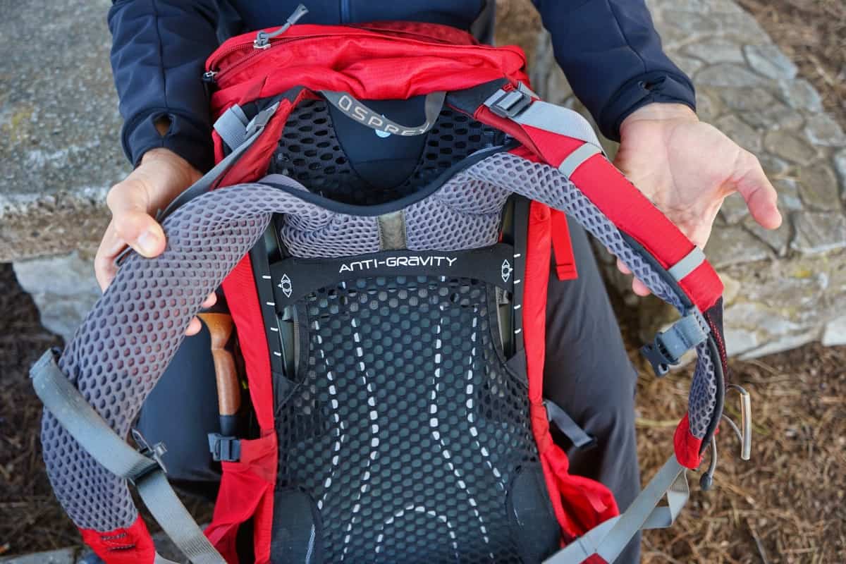 Hiking Backpacks Shoulder Straps