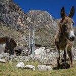 Cutting Through Peru's Cordillera Blanca: Hiking The Santa Cruz