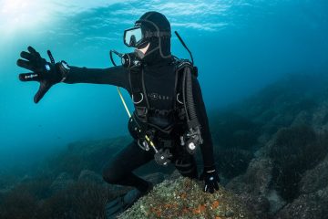 best dive gloves