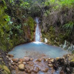 Hiking the Untamed Wilderness of Dominica