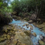 Hiking the Untamed Wilderness of Dominica