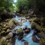 Hiking the Untamed Wilderness of Dominica