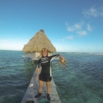 Scuba Diving and Kayaking in Glovers Reef (Belize)