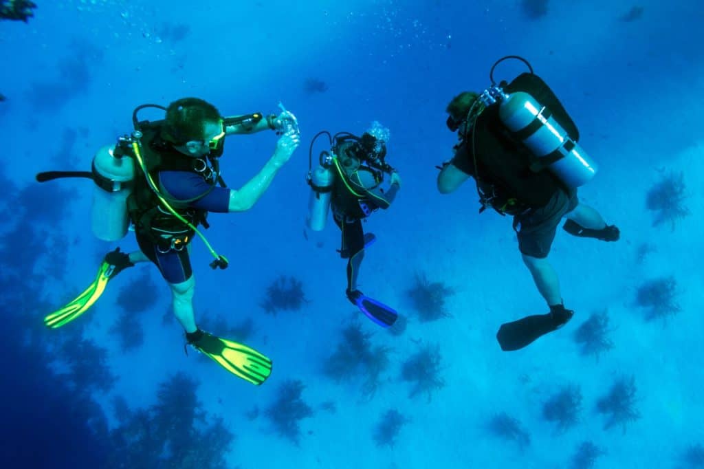 35 Awesome Scuba Diving Tips for Beginners • The Adventure Junkies