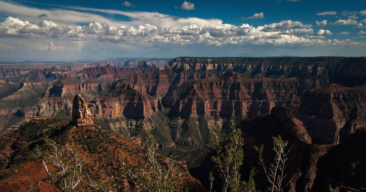 Grand Canyon North Rim, Arizona - USA