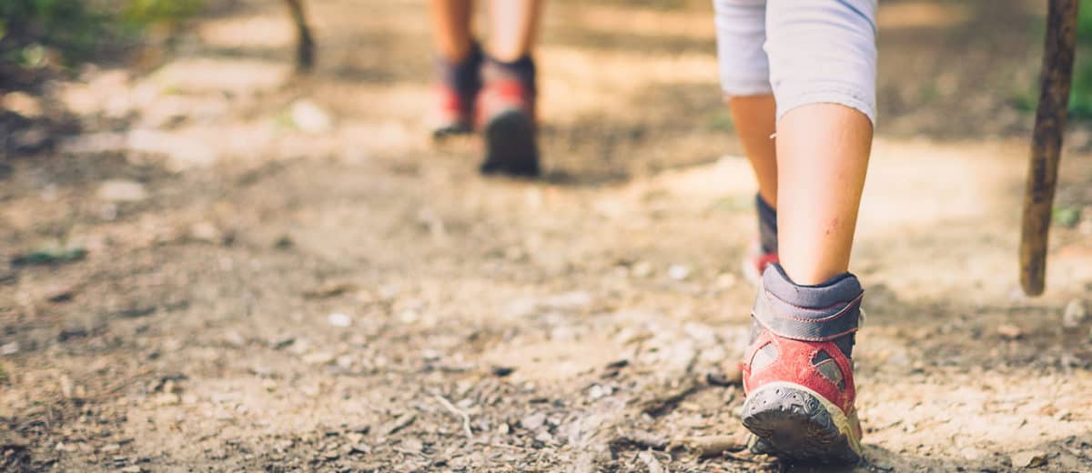 everlane backpack reddit