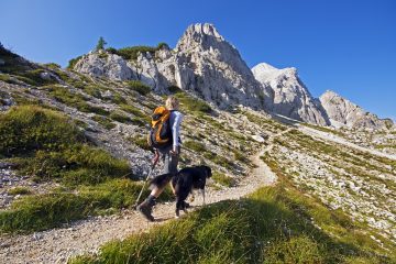 hiking with dogs