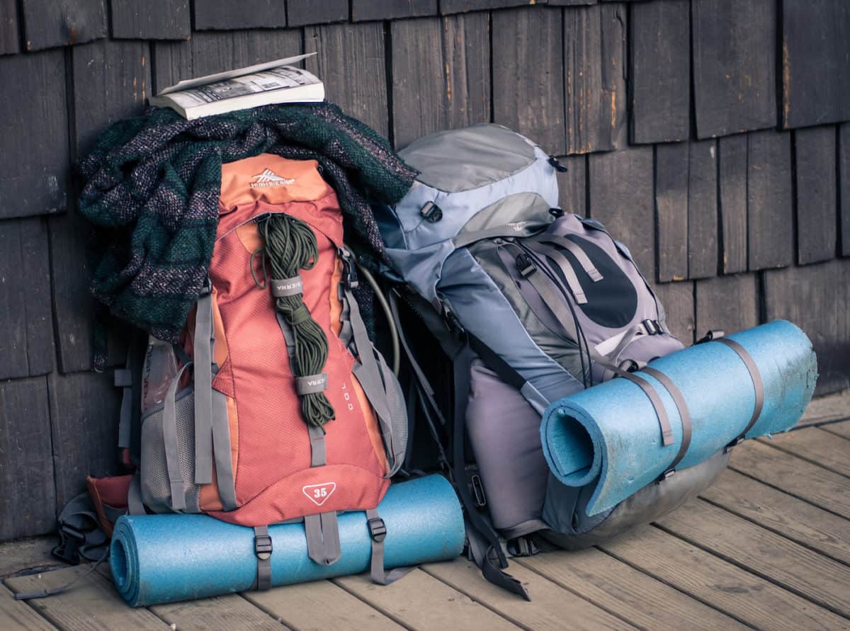 the pack backpack