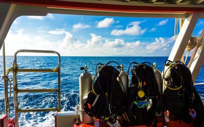 how to get started with liveaboard diving