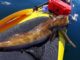 kayak fishing gear list