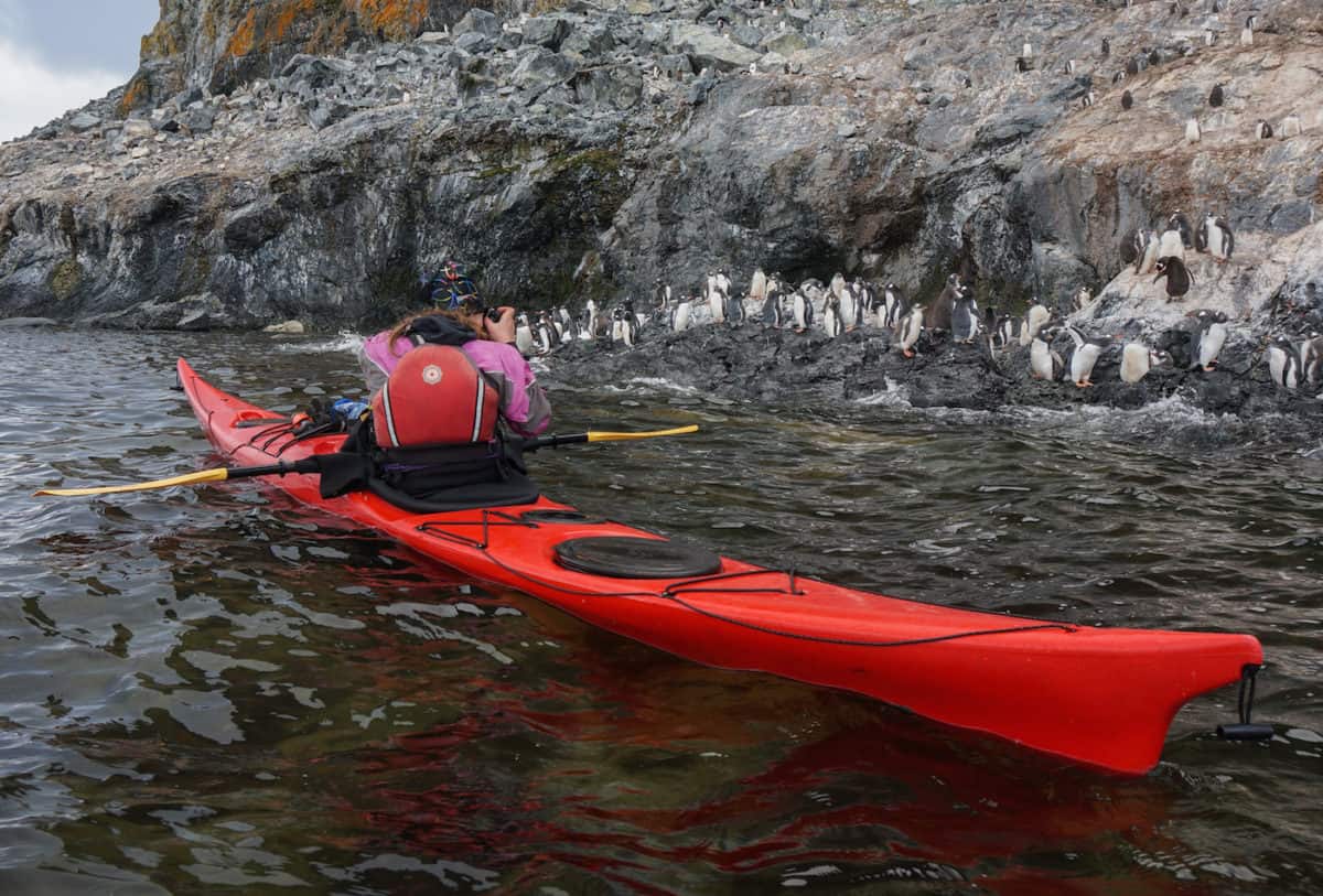 Penguins and kayak in Antarctica