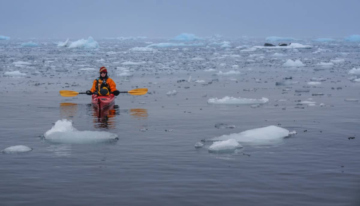 kayaking in Antarctica