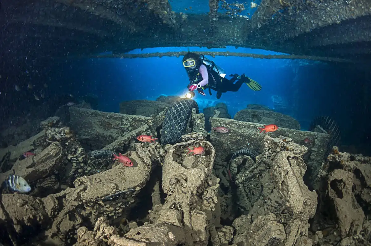 Liveaboard Diving in Egypt